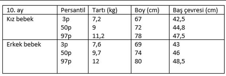 10 aylık bebek gelişimi - 10 aylık bebeğin boyu, kilosu, beslenmesi, uykusu ve gelişim tablosu