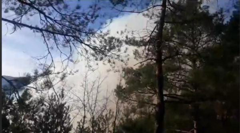 Artvin’de orman yangını