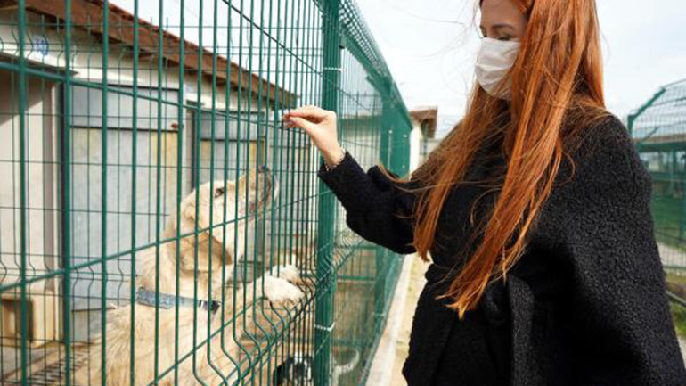 Sokakta bitkin halde bulunan Boncuk, 8 ayda sağlığına kavuştu