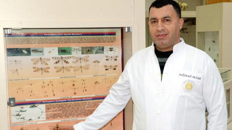 Çekirge istilası uyarısı Felakete yol açar