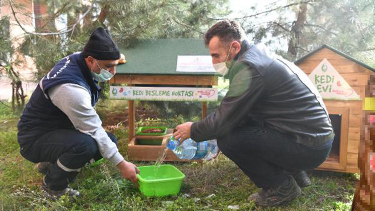 Çayırovada sokak hayvanlarına sıcak yuva