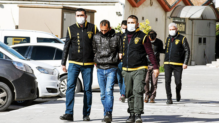 Mandalina hırsızları: 15 ton çaldılar