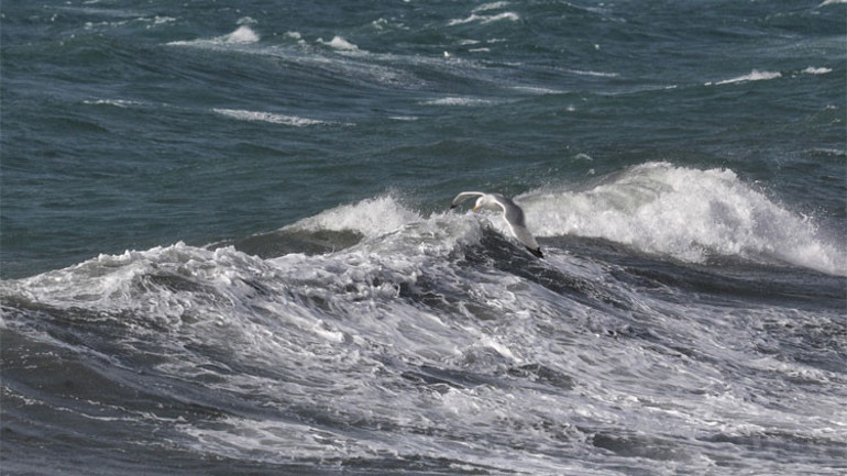 İstanbulda fırtına... Gemi karaya oturdu... Mürettebat böyle kurtarıldı...