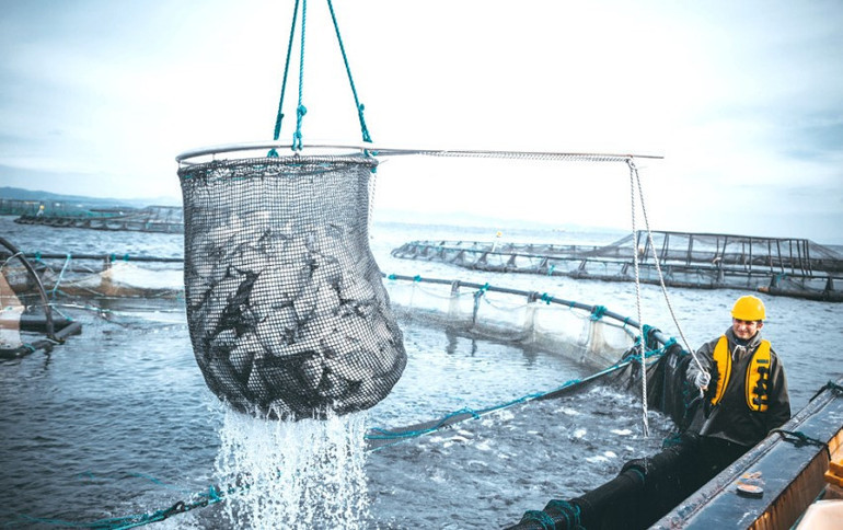 Şemsi Kavalar “İşim gücüm, Türk kültür balıkçılığını dünyada hak ettiği yere taşımak”