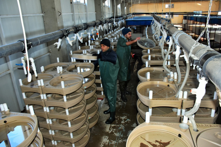 2 bin 100 rakımlı dağın eteklerine kuruldu Hedefleri 15 milyon dolar