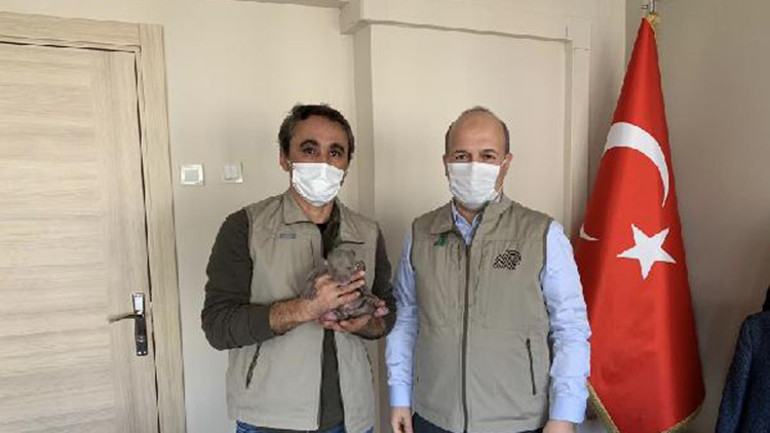 İşçilerin bulduğu yavru ayı korumaya alındı