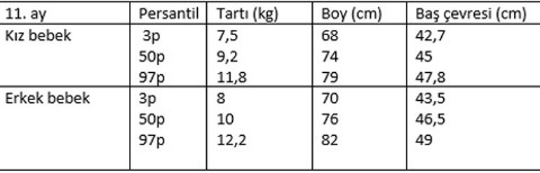 11 aylık bebek gelişimi - 11 aylık bebeğin boyu, kilosu, beslenmesi, uykusu ve gelişim tablosu