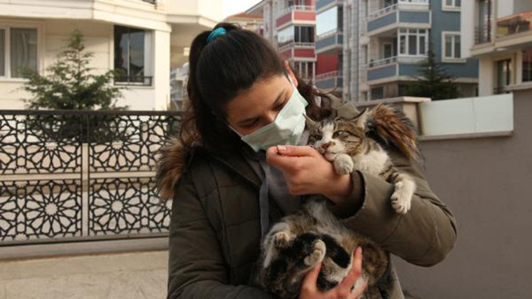 Elif, bağışlarla sokak kedilerini tedavi ettiriyor