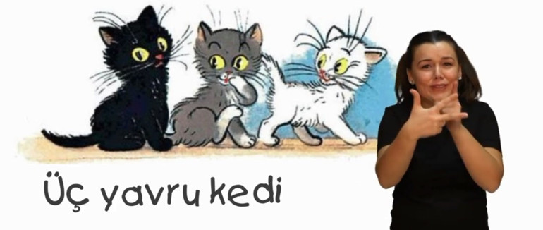 İşaret diliyle video kitap