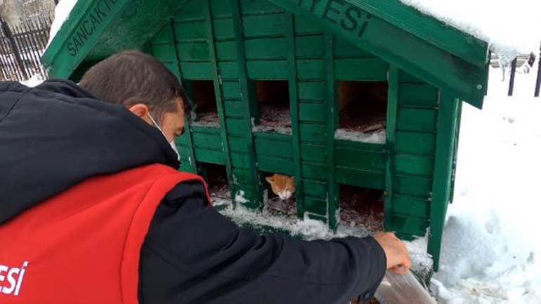 Sancaktepe Belediyesi karlı havada minik dostları unutmadı