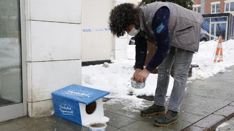 Başakşehir’de Dünya Kediler Günü’nde sevimli dostlar unutulmadı