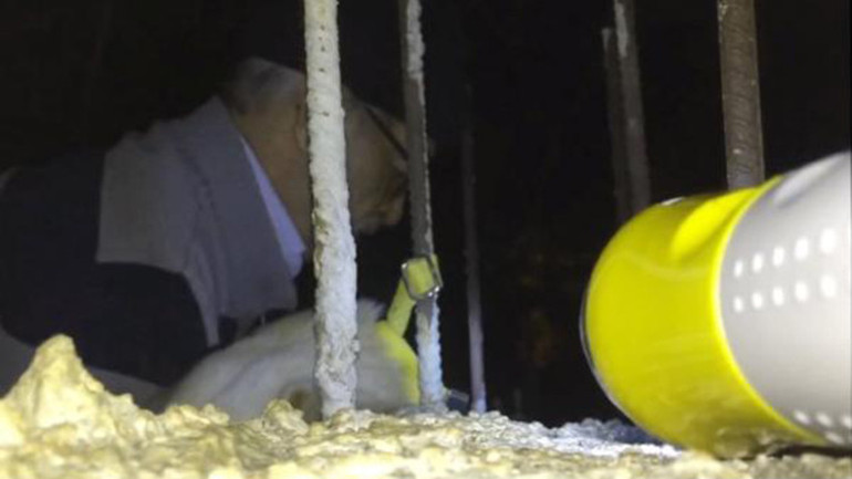 Tasması demire takılan köpeği imam fark edip, kurtardı