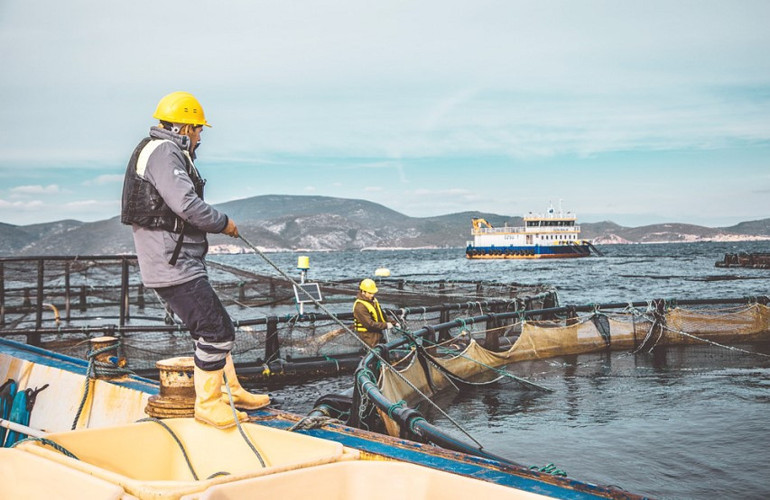 Kültür balıkçılığına yön veren ortakların sıra dışı başarı hikayesi