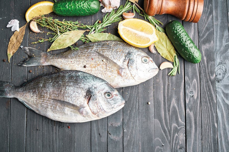 Kültür balıkçılığına yön veren ortakların sıra dışı başarı hikayesi