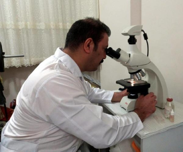 Dünyada sadece Artvinde yetişen bir mantar türü keşfedildi