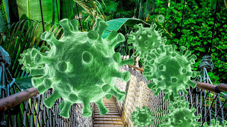 Pfizer/BioNTechten iyi haber geldi: Aşı Brezilya mutasyonuna karşı etkili