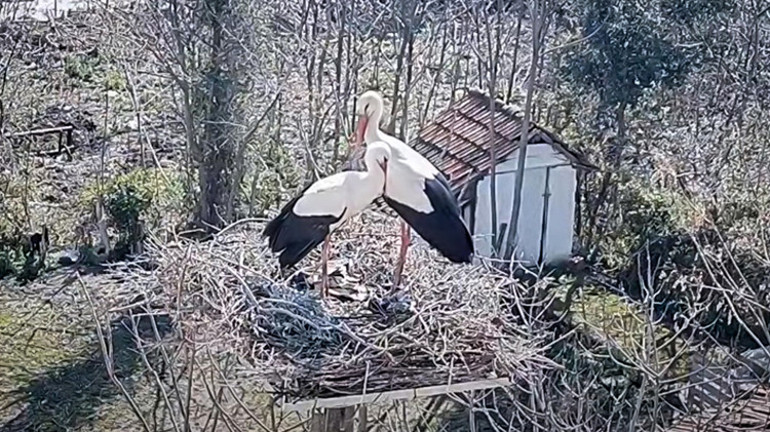 Masallardan fırlamış gibi: Adem Amca ve Yaren Leylek’in muhteşem dostluğu