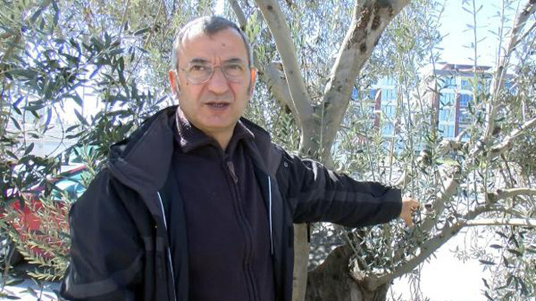 Zeytin yeterli soğuk almadı, üretici de ürün endişesi başladı