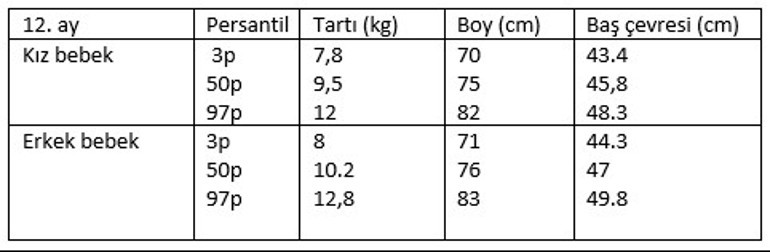 12 aylık bebek gelişimi - 12 aylık bebeğin boyu, kilosu, beslenmesi, uykusu ve gelişim tablosu