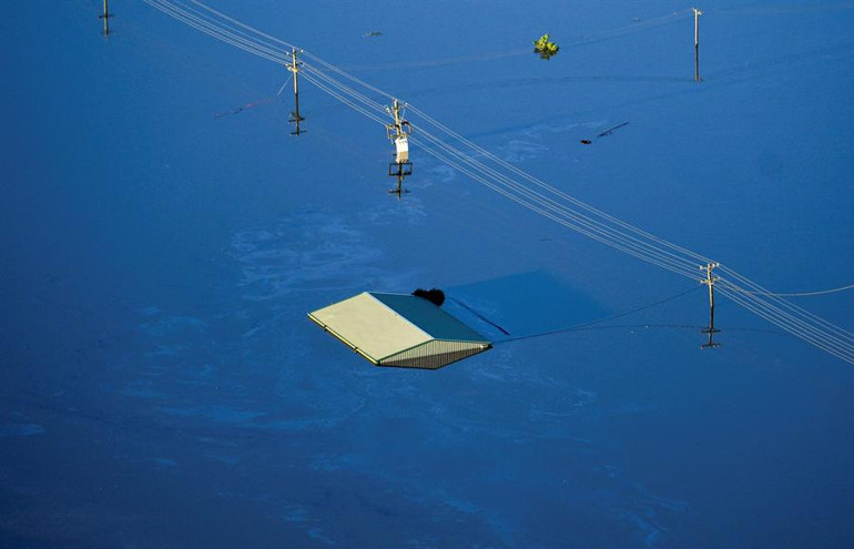 Avustralya kâbusu yaşıyor... Sel felaketinden sonra zehirli örümcek paniği