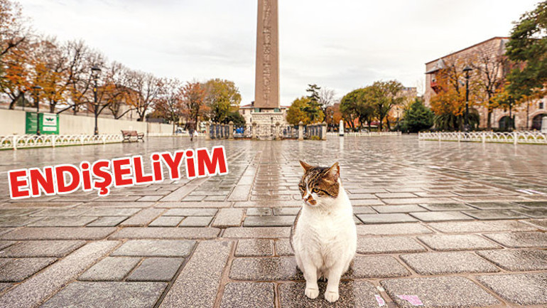 Hafta sonu kapanalım mı