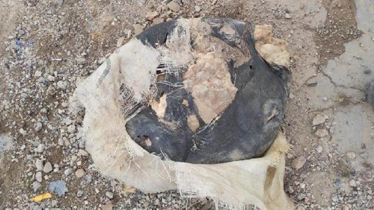 Tel Abyad’da 60 kilo patlayıcı ele geçirildi