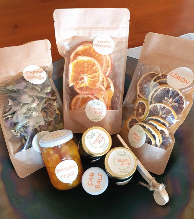 Taklit et, yapay et, bitkisel bazlı protein