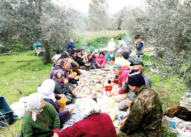 Zeytinin büyüsüne kapılıp yeni keşiflere yelken açtılar