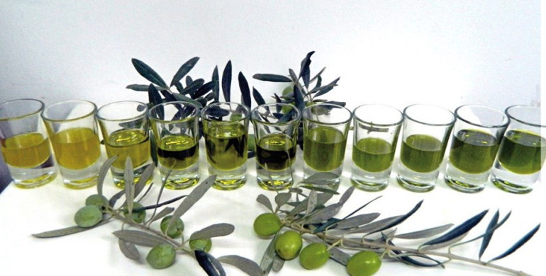 Zeytinin büyüsüne kapılıp yeni keşiflere yelken açtılar