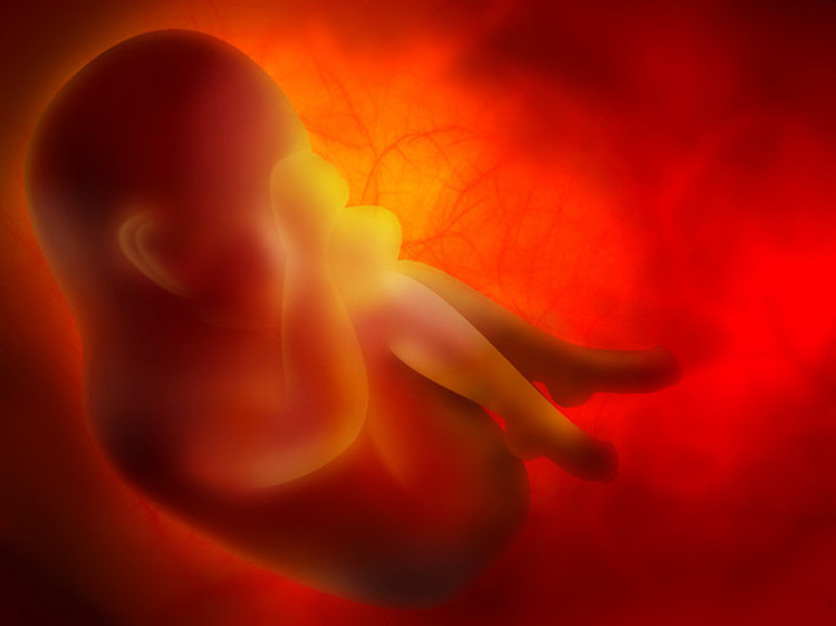 Uzmanlar uyarıyor: Çevre kirliliği penis boyunu küçültüyor