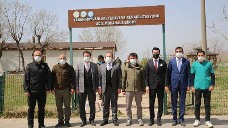 Şırnak Valisi, 20 gün tedavi uygulanan puhuyu doğaya saldı