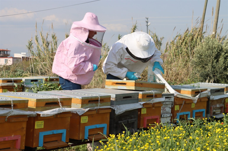 Satranç antrenörüydü... Çocukları için başladı Şimdi talebe yetişmeye çalışıyor