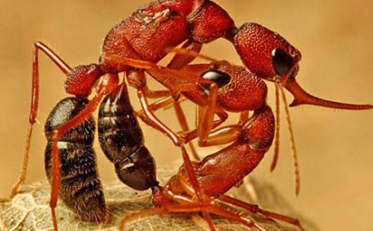 Gözünüzden kaçmış olabilir | Arsa fiyatları neden çıldırdı... mRNA mucidinin hikayesi... Coco de Mer krizi...