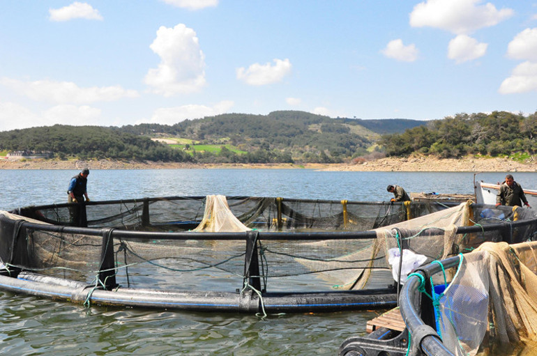 Denizi olmayan şehirde üretiliyor Tüm dünyaya ihraç ediliyor