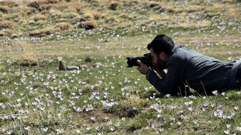Nemrut’un kardelenleri, görsel şölen sunuyor