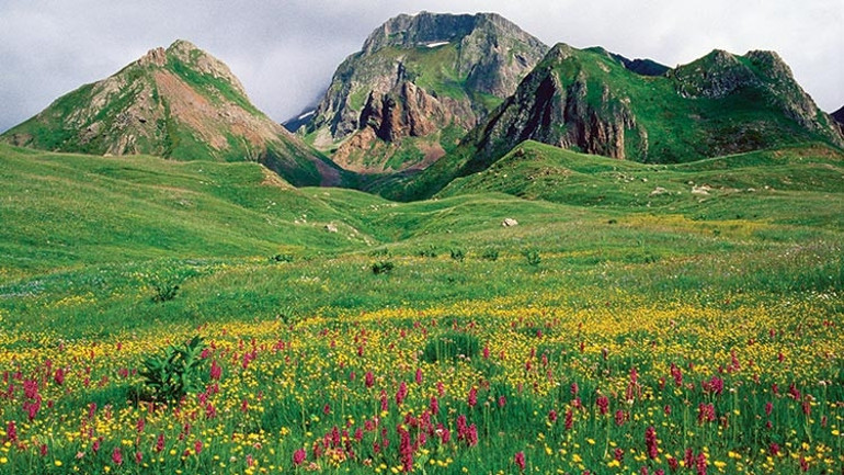 Karadeniz’in yıldızı Artvin’de 10 adım