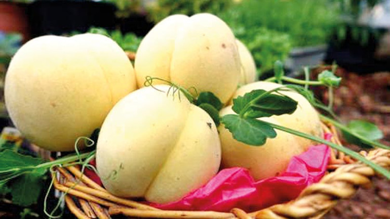 İki ürüne daha AB koruması