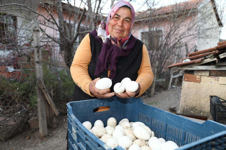 Hobi civcivler ekmek kapısı oldu