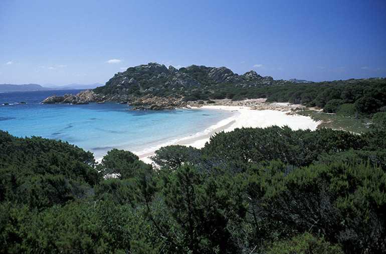 Geri dönüp de ne yapacağım demişti ama İtalyan Robinson Crusoe sonunda pes etti