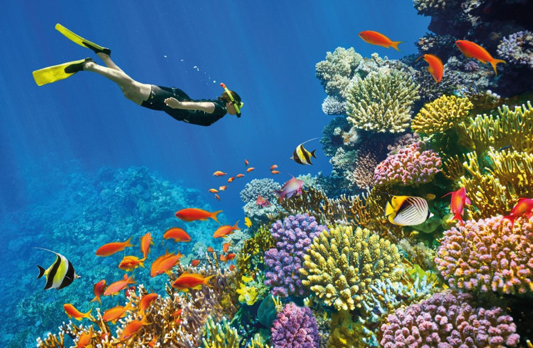 Bahar serinliğinden Mısır’ın kızgın kumlarına...