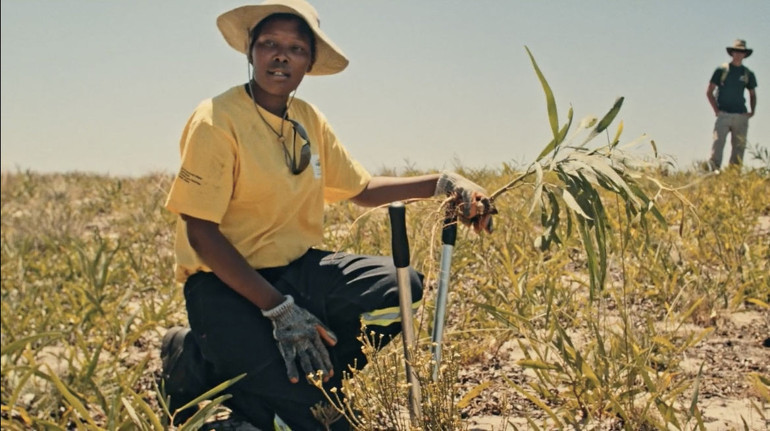 Ne izlesem okusam dinlesem