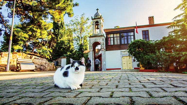 Büyükada’da yürüyüşten daha fazlası...
