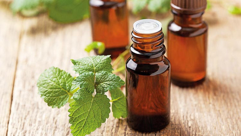 Alerji, bari sen bırak peşimizi