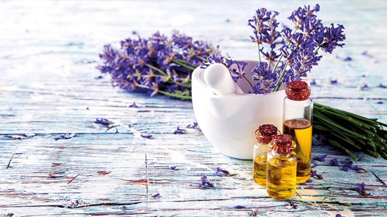 Alerji, bari sen bırak peşimizi