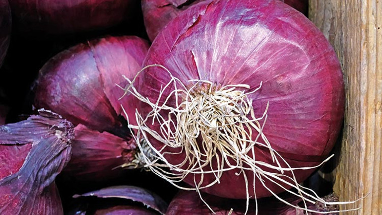 Alerji, bari sen bırak peşimizi