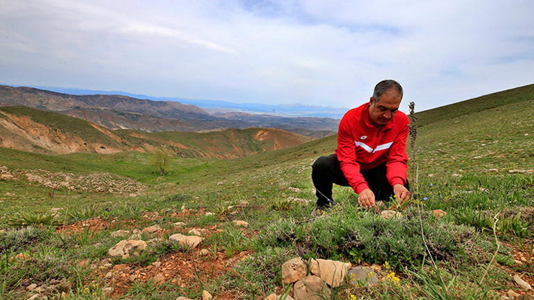 Elazığda tesadüfen keşfedildi Hayranlık uyandırıyor