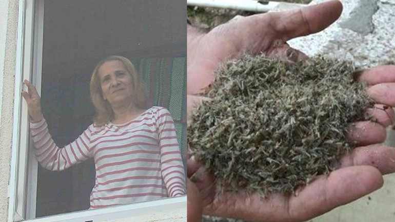 İstanbulda bir ilçeyi korku sardı Kapı, pencere açamıyorlar...