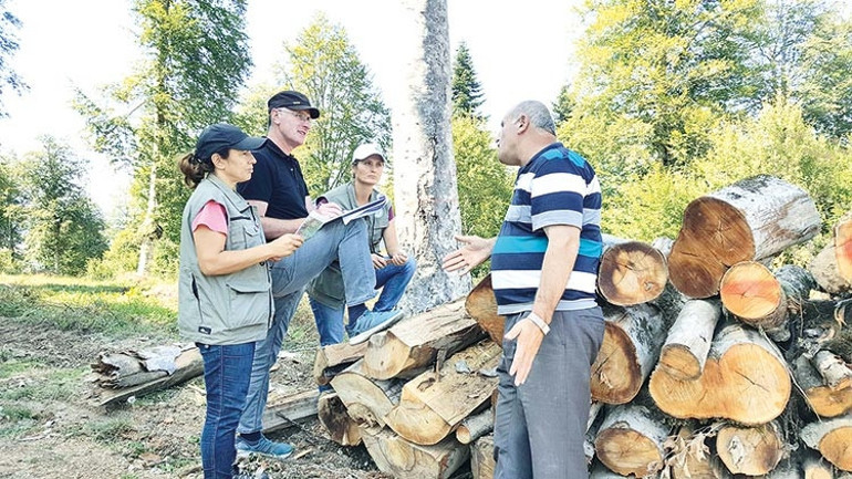 Boz ayı planı