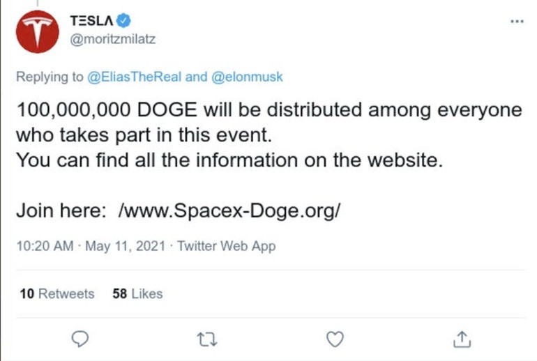 Elon Muskı izleyeceğim derken avlandılar 10 milyon dolar buhar oldu