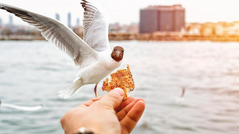 ‘İyi gelmez mi hiç deniz havası’